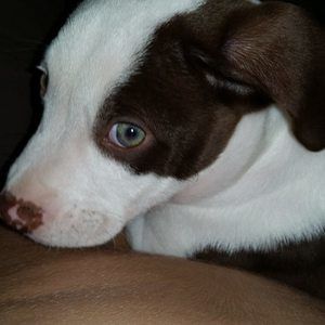 Meet your Posher, Johnathan